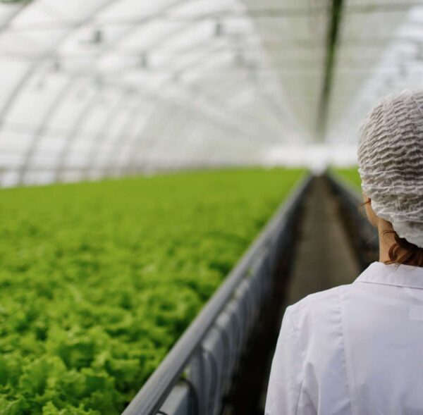 agroalimentario-min (2)